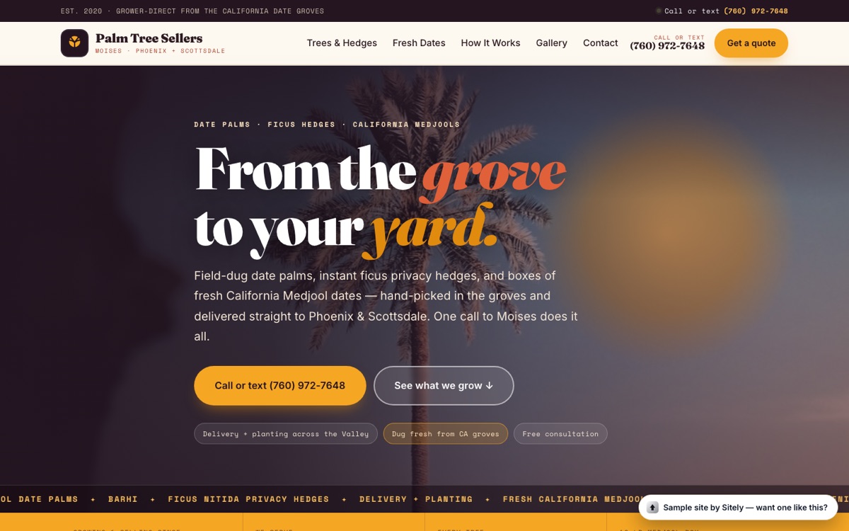 Palm Tree Sellers demo with a warm desert grove design