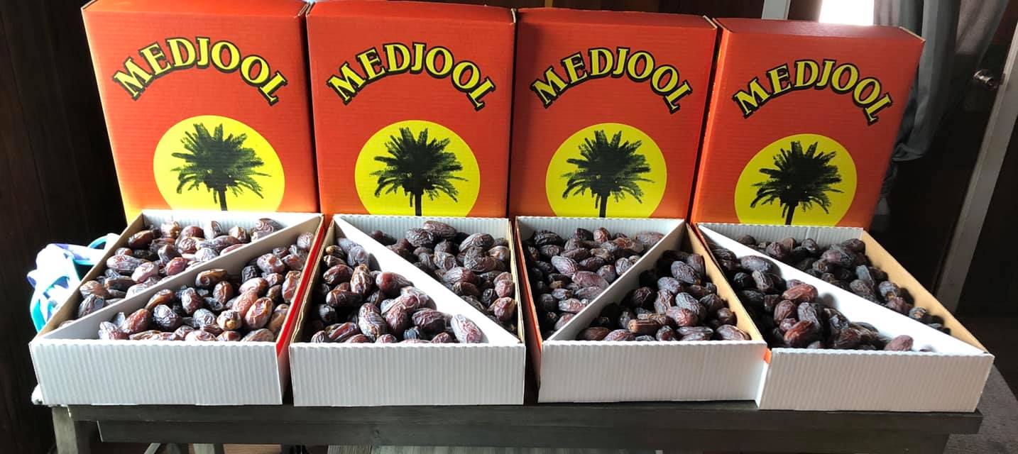 Four MEDJOOL-branded boxes lined up with open trays of fresh dark Medjool dates in front