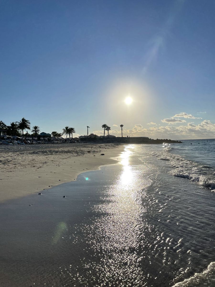 Sun sparkling over a palm-lined tropical beach